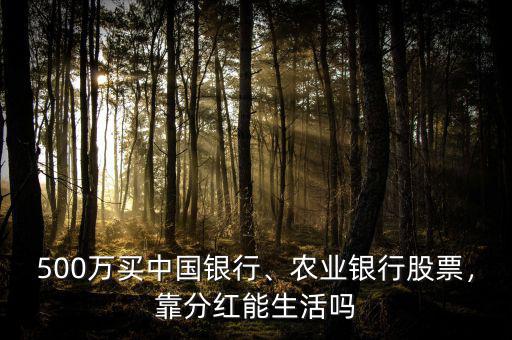 500萬(wàn)買中國(guó)銀行、農(nóng)業(yè)銀行股票，靠分紅能生活嗎