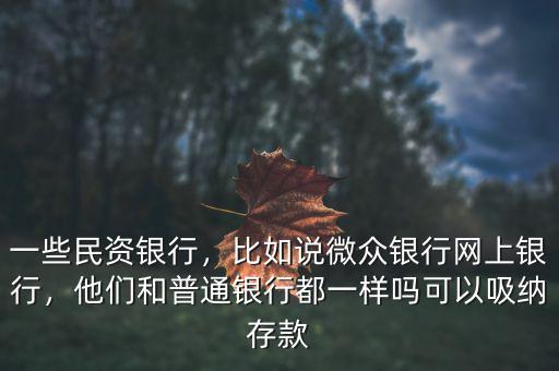一些民資銀行，比如說微眾銀行網(wǎng)上銀行，他們和普通銀行都一樣嗎可以吸納存款