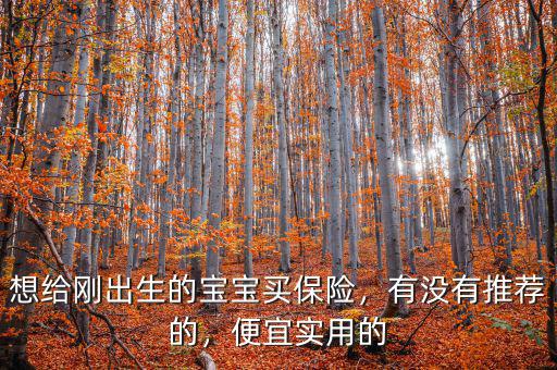 想給剛出生的寶寶買(mǎi)保險(xiǎn)，有沒(méi)有推薦的，便宜實(shí)用的