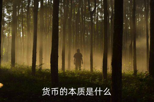 不同形式的貨幣為什么都可以計價,為什么全球貨幣不能統一