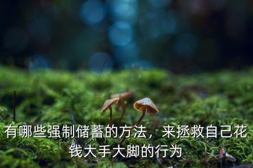有哪些強制儲蓄的方法，來拯救自己花錢大手大腳的行為