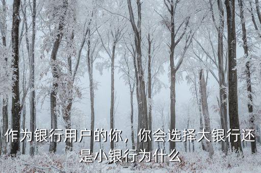 作為銀行用戶的你，你會選擇大銀行還是小銀行為什么