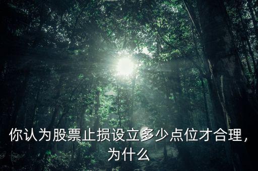 你認(rèn)為股票止損設(shè)立多少點位才合理，為什么
