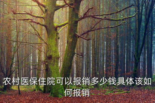 農(nóng)醫(yī)?，F(xiàn)在能報銷多少,具體該如何報銷