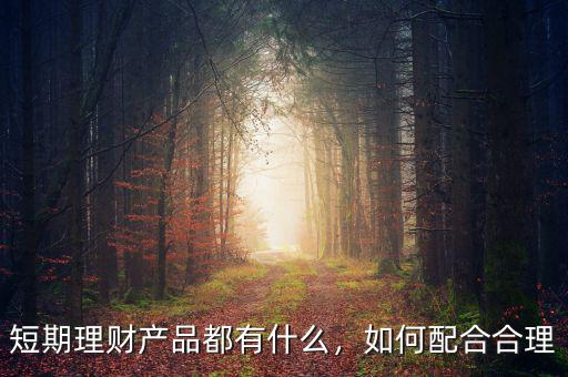 短期理財(cái)產(chǎn)品都有什么，如何配合合理