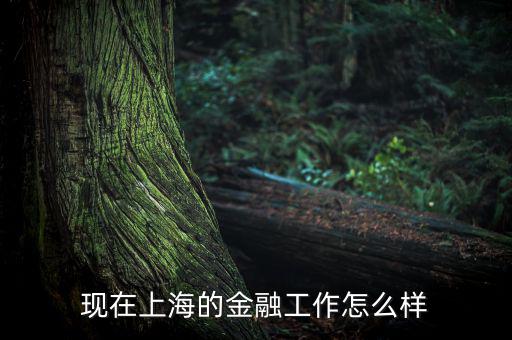 上?；バ沤鹑谠趺礃?上海立信會(huì)計(jì)金融學(xué)院怎么樣