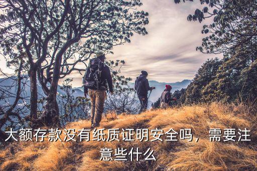 大額存款沒有紙質(zhì)證明安全嗎，需要注意些什么