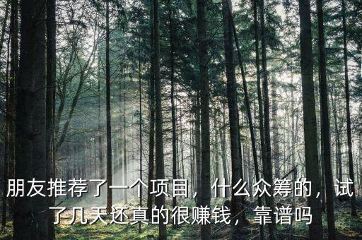 朋友推薦了一個項目，什么眾籌的，試了幾天還真的很賺錢，靠譜嗎