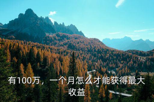有100萬，一個月怎么才能獲得最大收益