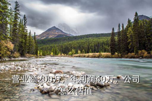 營(yíng)業(yè)額200萬，年利潤(rùn)40萬，公司怎么估值