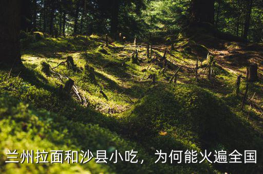 蘭州拉面和沙縣小吃，為何能火遍全國(guó)