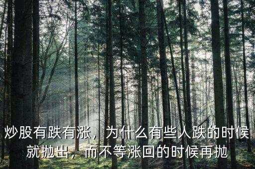 炒股有跌有漲，為什么有些人跌的時候就拋出，而不等漲回的時候再拋