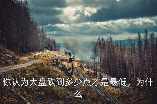 你認(rèn)為大盤跌到多少點(diǎn)才是最低，為什么