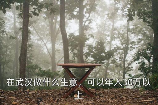 在武漢做什么生意，可以年入30萬以上