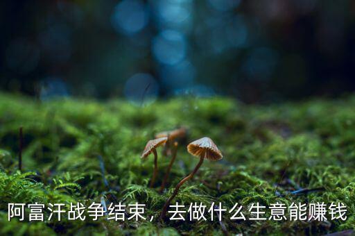 阿富汗戰(zhàn)爭結(jié)束，去做什么生意能賺錢