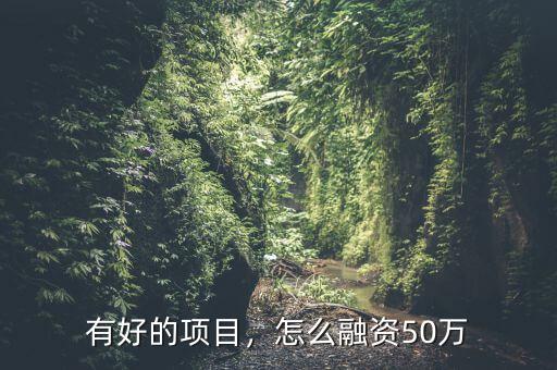 有好的項目，怎么融資50萬