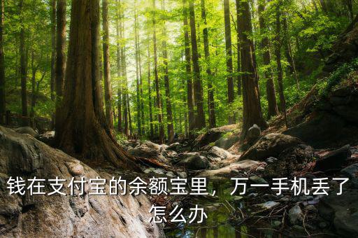 錢(qián)在支付寶的余額寶里，萬(wàn)一手機(jī)丟了怎么辦