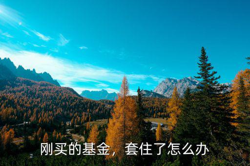 剛買的基金，套住了怎么辦