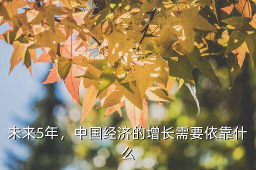 未來5年，中國經(jīng)濟(jì)的增長需要依靠什么