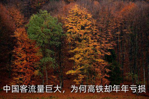 中國客流量巨大，為何高鐵卻年年虧損