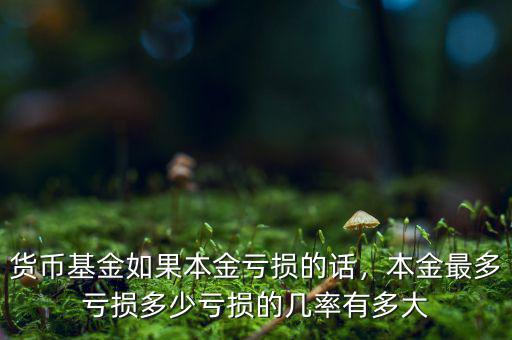 貨幣基金如果本金虧損的話，本金最多虧損多少虧損的幾率有多大