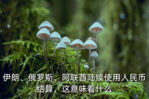伊朗、俄羅斯、阿聯(lián)酋陸續(xù)使用人民幣結(jié)算，這意味著什么