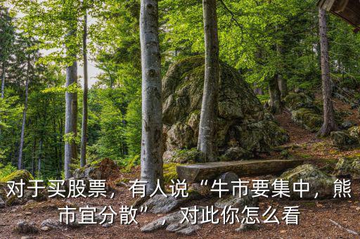 對于買股票，有人說“牛市要集中，熊市宜分散”，對此你怎么看