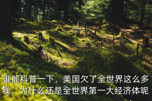誰能科普一下，美國欠了全世界這么多錢，為什么還是全世界第一大經(jīng)濟(jì)體呢