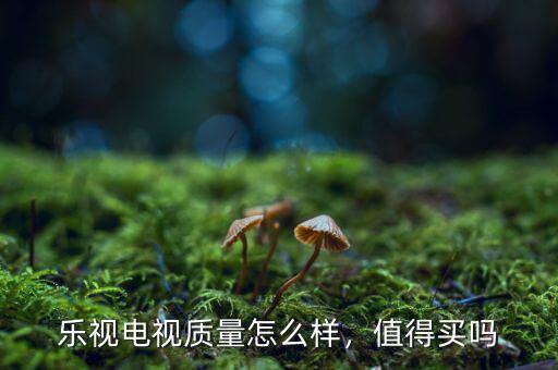 樂(lè)視電視質(zhì)量怎么樣，值得買嗎