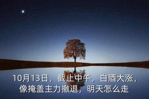 10月13日，截止中午，白酒大漲，像掩蓋主力撤退，明天怎么走
