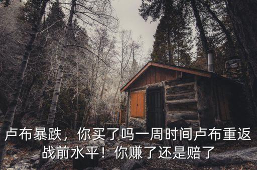 盧布暴跌，你買了嗎一周時間盧布重返戰(zhàn)前水平！你賺了還是賠了