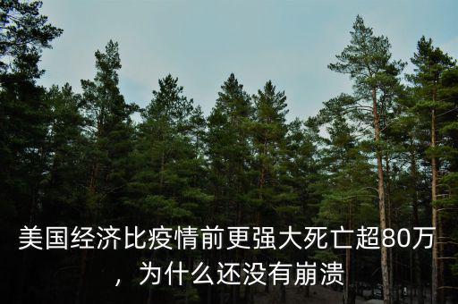 美國(guó)經(jīng)濟(jì)比疫情前更強(qiáng)大死亡超80萬(wàn)，為什么還沒(méi)有崩潰