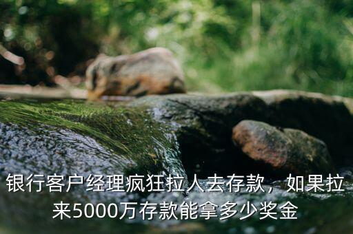 銀行客戶(hù)經(jīng)理瘋狂拉人去存款，如果拉來(lái)5000萬(wàn)存款能拿多少獎(jiǎng)金