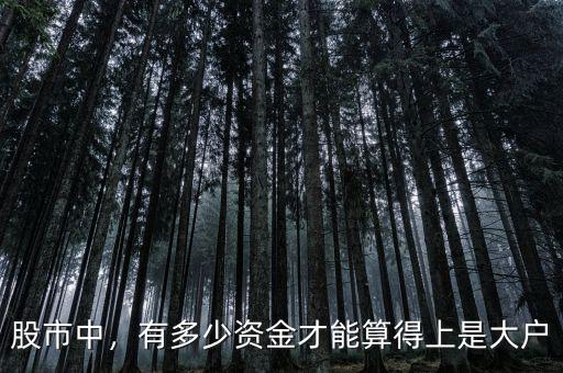 股市中，有多少資金才能算得上是大戶(hù)