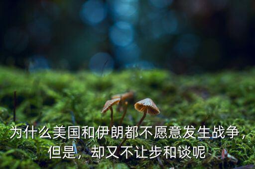 為什么美國(guó)和伊朗都不愿意發(fā)生戰(zhàn)爭(zhēng)，但是，卻又不讓步和談呢