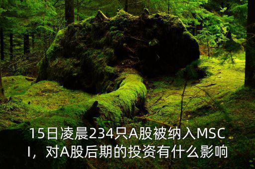 15日凌晨234只A股被納入MSCI，對A股后期的投資有什么影響