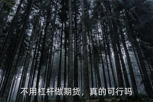 不用杠桿做期貨，真的可行嗎
