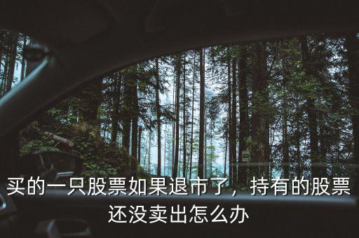 買(mǎi)的一只股票如果退市了，持有的股票還沒(méi)賣(mài)出怎么辦