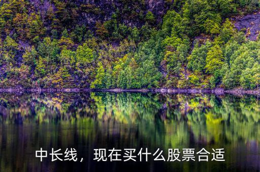 中長(zhǎng)線，現(xiàn)在買(mǎi)什么股票合適