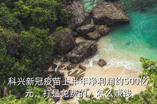 科興新冠疫苗上半年凈利潤約500億元，打是免費的，怎么賺錢