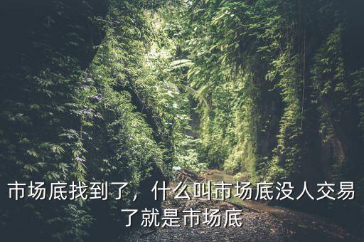 市場底找到了，什么叫市場底沒人交易了就是市場底
