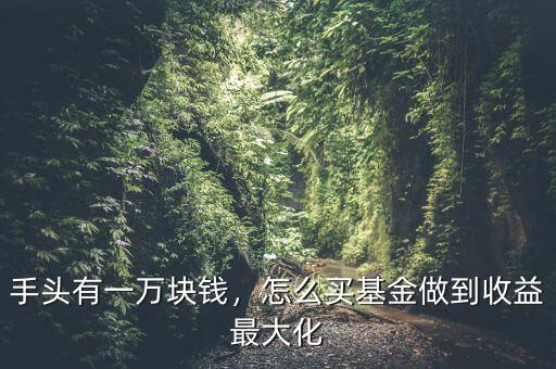 手頭有一萬塊錢，怎么買基金做到收益最大化