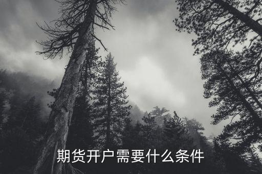期貨開(kāi)戶(hù)需要注意什么,期貨開(kāi)戶(hù)需要什么條件