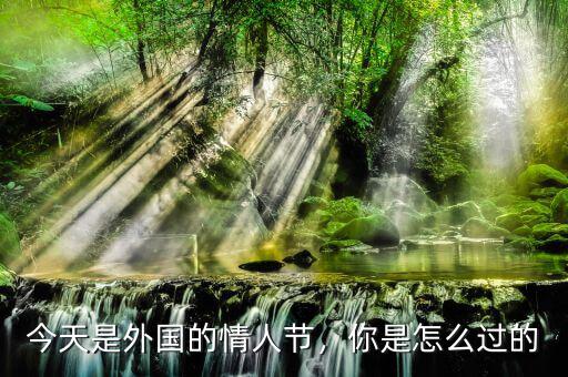 今天是外國的情人節(jié)，你是怎么過的