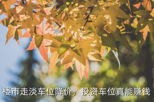樓市走淡車(chē)位降價(jià)，投資車(chē)位真能賺錢(qián)