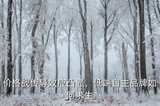 價(jià)格戰(zhàn)傳導(dǎo)效應(yīng)凸顯，低端自主品牌如何求生