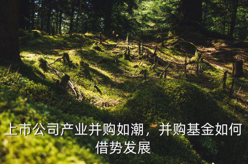 上市公司產(chǎn)業(yè)并購如潮，并購基金如何借勢發(fā)展