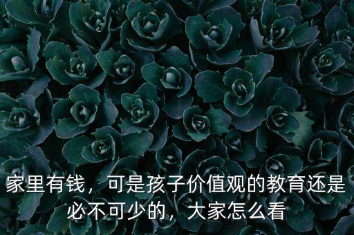 家里有錢，可是孩子價(jià)值觀的教育還是必不可少的，大家怎么看
