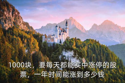 1000塊，要每天都能買(mǎi)中漲停的股票，一年時(shí)間能漲到多少錢(qián)