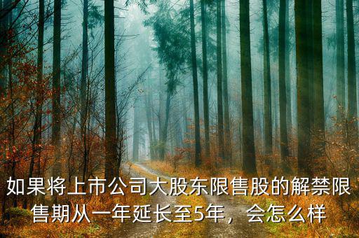 如果將上市公司大股東限售股的解禁限售期從一年延長(zhǎng)至5年，會(huì)怎么樣